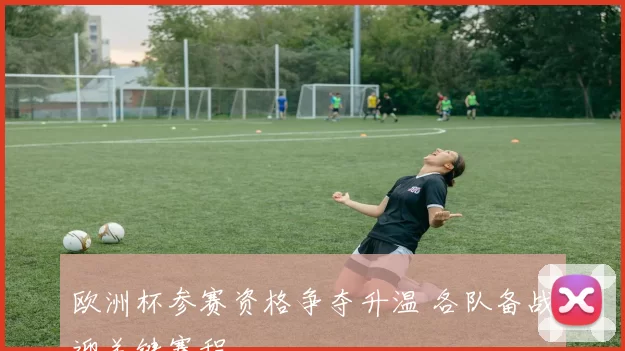 欧洲杯参赛资格争夺升温 各队备战迎关键赛程