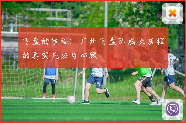 飞盘的轨迹：广州飞盘队成长历程的真实见证与回顾