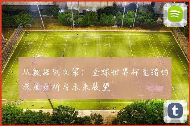 从数据到决策:全球世界杯竞猜的深度分析与未来展望