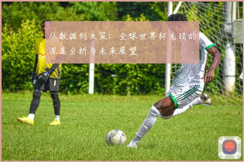 从数据到决策:全球世界杯竞猜的深度分析与未来展望