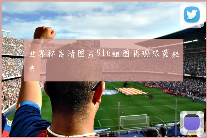 世界杯高清图片916组图再现绿茵经典