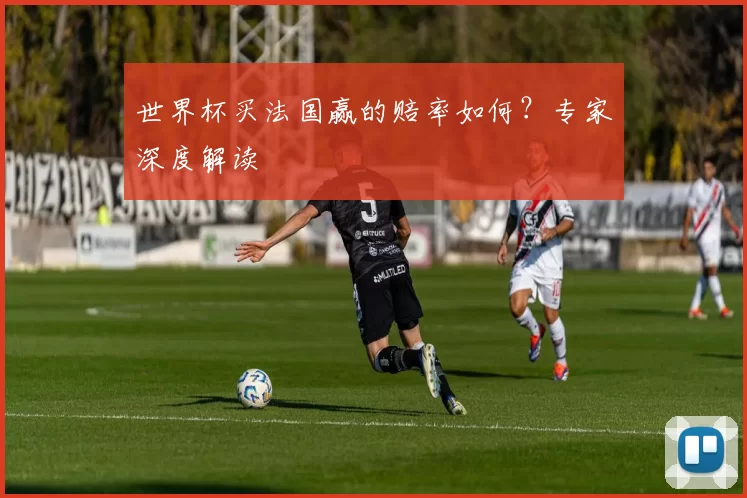 世界杯买法国赢的赔率如何?专家深度解读