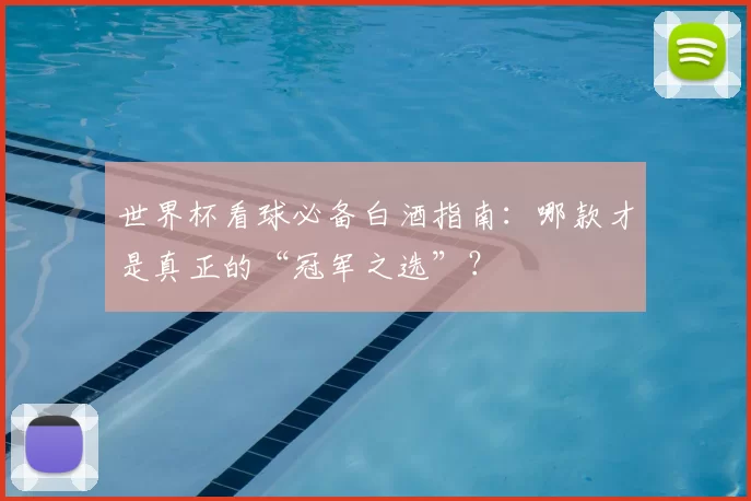 世界杯看球必备白酒指南:哪款才是真正的“冠军之选”?