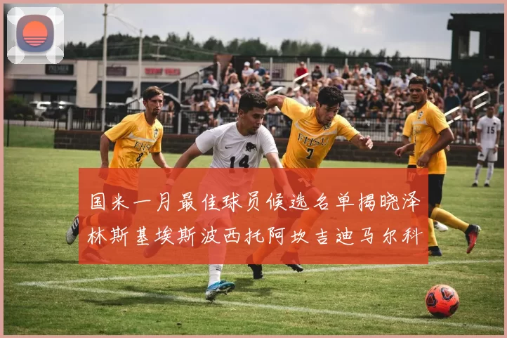 国米一月最佳球员候选名单揭晓泽林斯基埃斯波西托阿坎吉迪马尔科争夺荣誉
