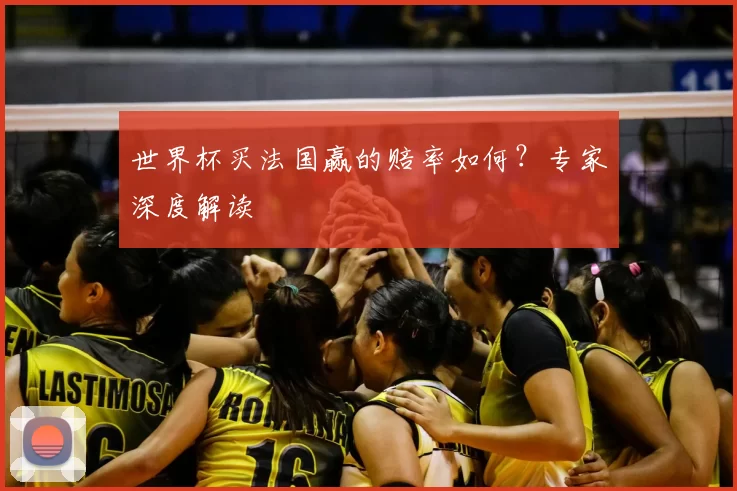 世界杯买法国赢的赔率如何?专家深度解读