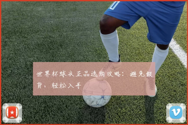 世界杯球衣正品选购攻略：避免假货，轻松入手