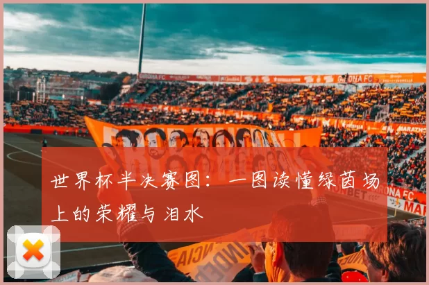 世界杯半决赛图：一图读懂绿茵场上的荣耀与泪水