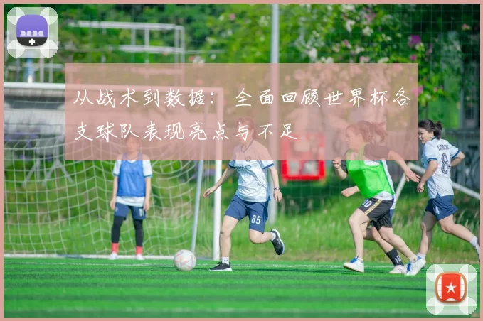 从战术到数据：全面回顾世界杯各支球队表现亮点与不足