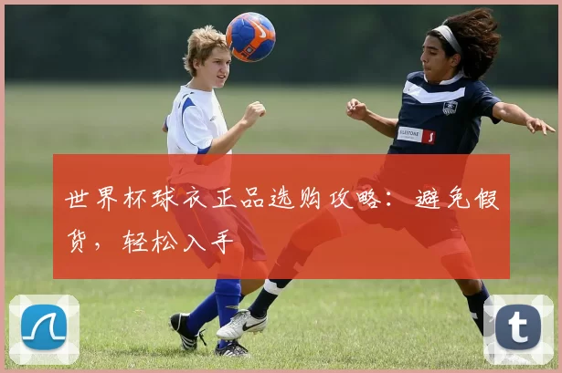 世界杯球衣正品选购攻略：避免假货，轻松入手